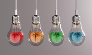 Neurodiversity in the family justice system