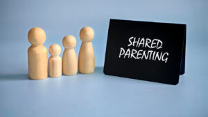 Separated Parents Information Programme